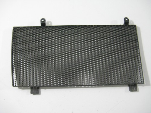 Wasserkühler-Schutzgitter Kühler-Gitter BMW F 800 GS, E8GS 0219, 08-12