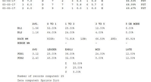 THE EQUALIZER 2.1 Thoroughbred Handicapping Software - Modern Pace Handicapping - Picture 5 of 6