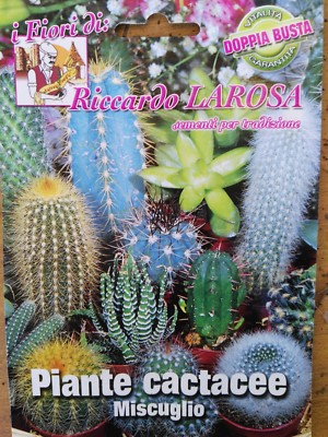 Living Stones Lithops Variety MIX Succulent Mesembs Stone Cactus Seed 50 SEEDS E - Foto 4