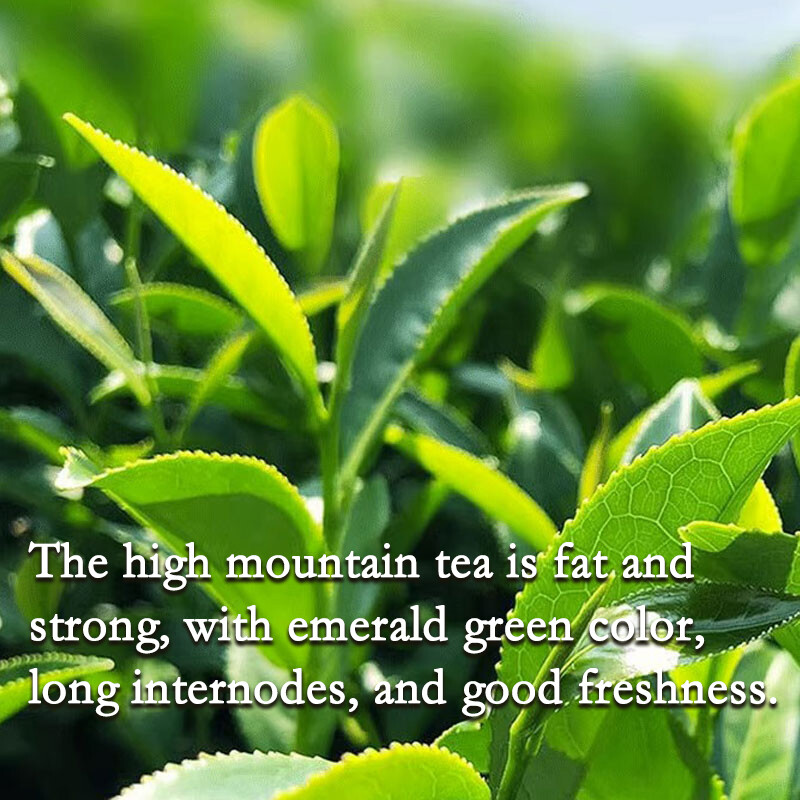 Taiwanese Oolong Tea Milk Oolong Tea 250g Taiwan Jin Xuan Milk Oolong Tea eBay