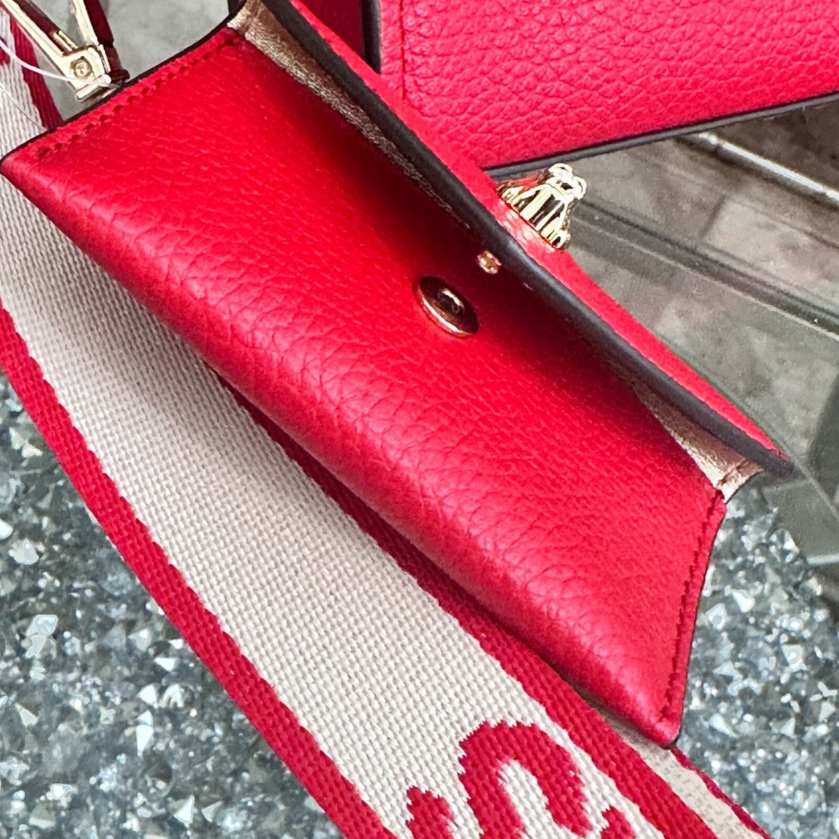 Michael Kors Mirella XS Phone Crossbody Leather Bag + Dragon