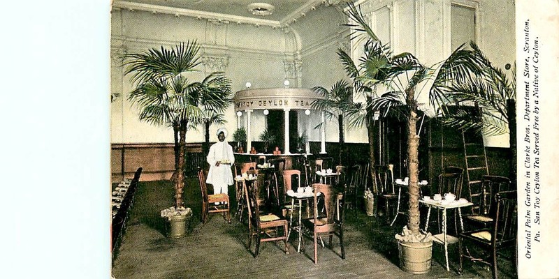 CLARK BROS DEPARTMENT STORE PALM GARDEN, SCRANTON, PA, VINTAGE POSTCARD (AN375)