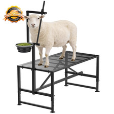 600 Lbs Goat Milking Stand with Feed Bin Adjustable Stanchion Iron