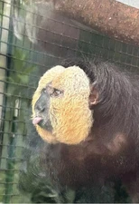 Wild Horse Islands Custom Listing For Items Discussed