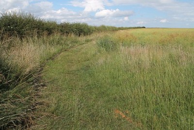 Photo A2 Bridleway off Binbrook Lane Thorpe le Vale Sprayed orange arrow c2013