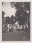 Tunisia original photo 1911 Tunis - one street - 18x13 cm