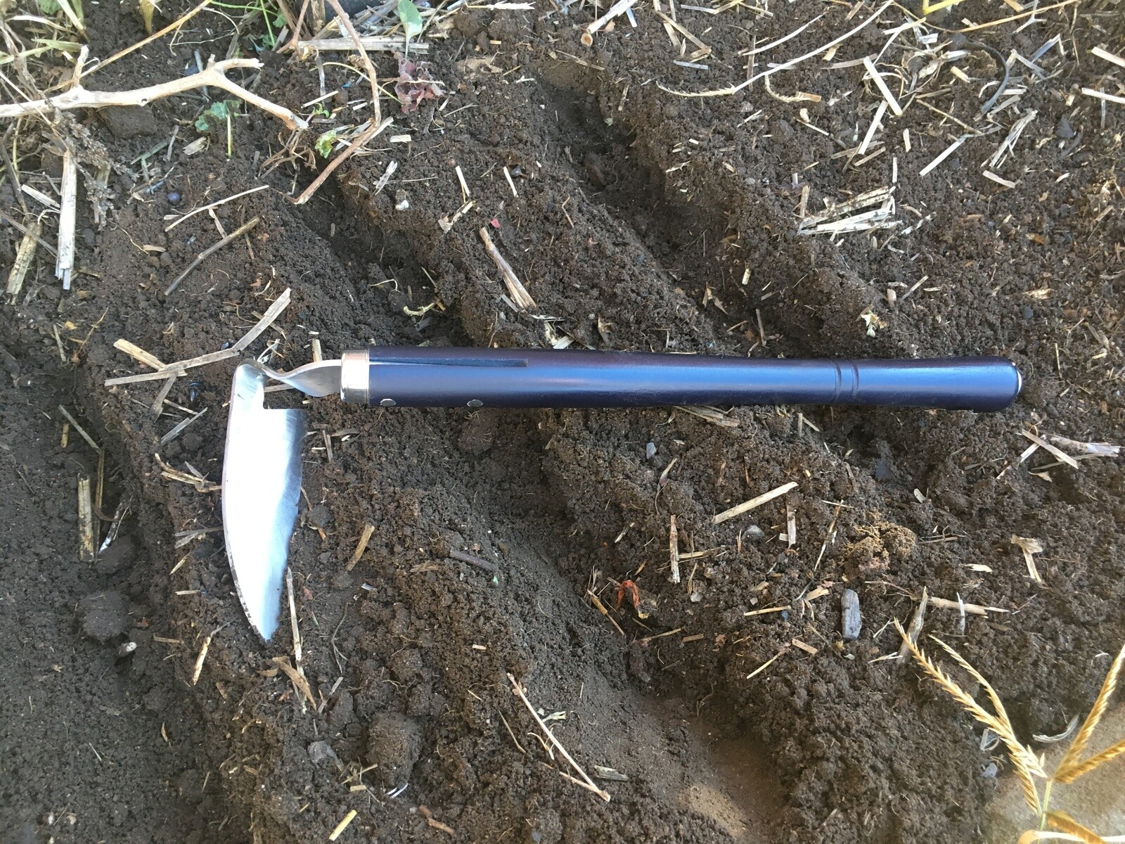 Picture 5 of 5