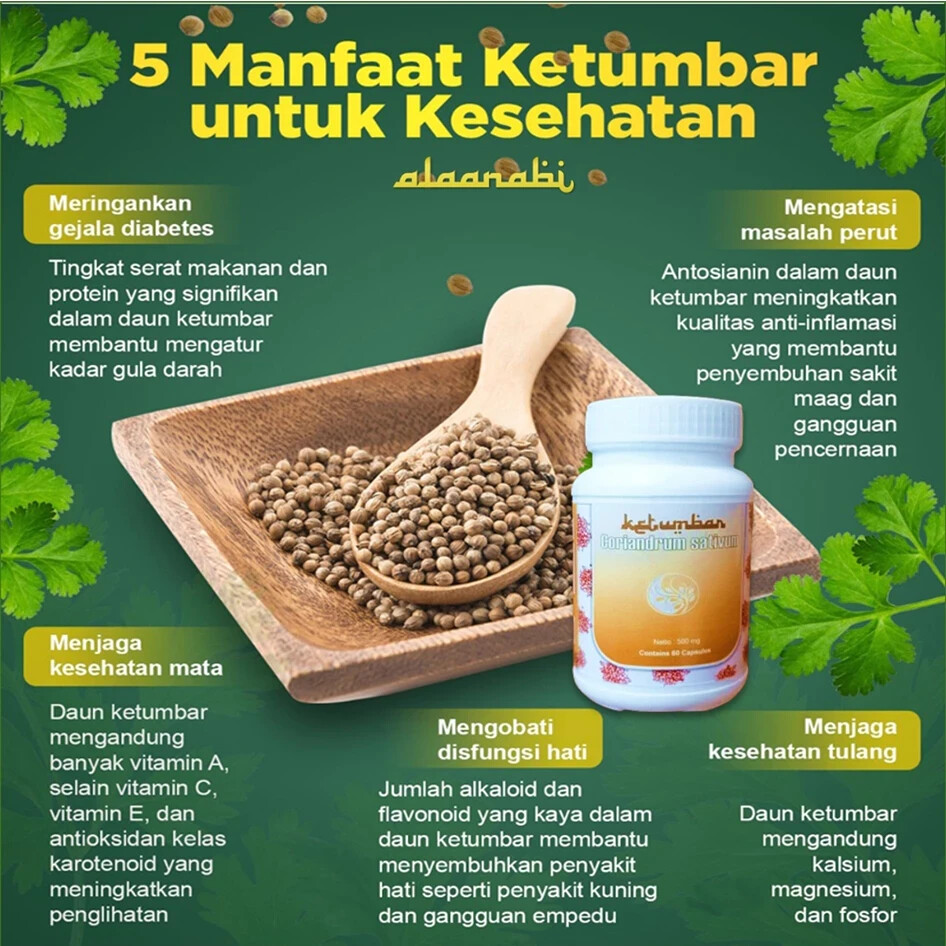 Cilantro Natural Orgánico Hierbas Especias Frescas Puras Higiénicas Premium O...