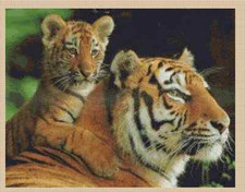 Tiger and Cub Counted Cross Stitch Chart No. 2-152 
