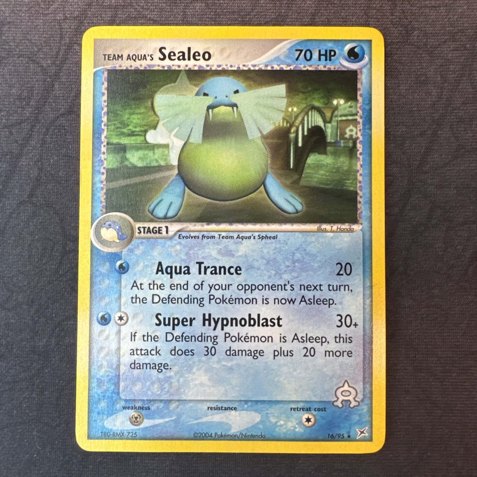 Team Aqua's Sealeo 16/95 Team Magma vs Team Aqua Regular Pokemon