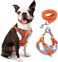 Hundegeschirr Verstellbar Reflektierend Mit 2 Leinenclips FüR Kleine Hunde