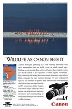 1991 Canon Camera: Andean Flamingos Vintage Print Ad