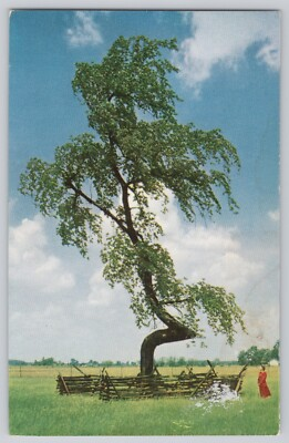 #ad Indian Trail Marker Tree Postcard SOHIO Standard Oil Upper Sandusky Chrome $3.99