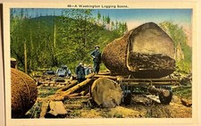 Logging Scene Washington WA Postcard Lumber Jack Robbins Tillquist