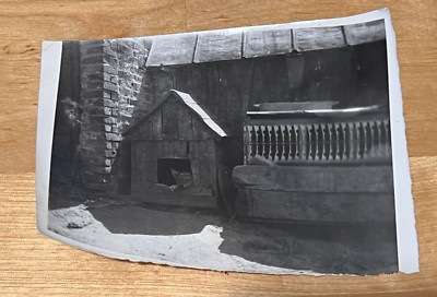1960s Dog Booth Village Pet Soviet photo Vintage photo