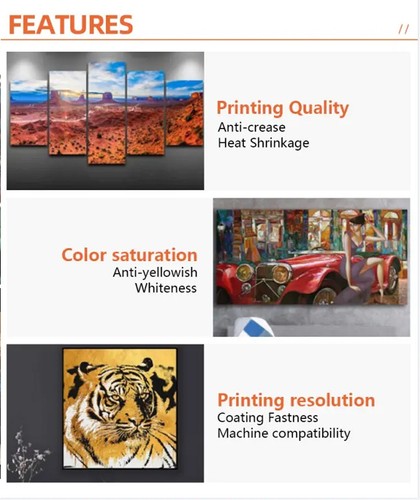 17"x40ft,Polyester Matte Art Canvas Roll for HP Aqueous Inkjet Printer - Picture 6 of 16