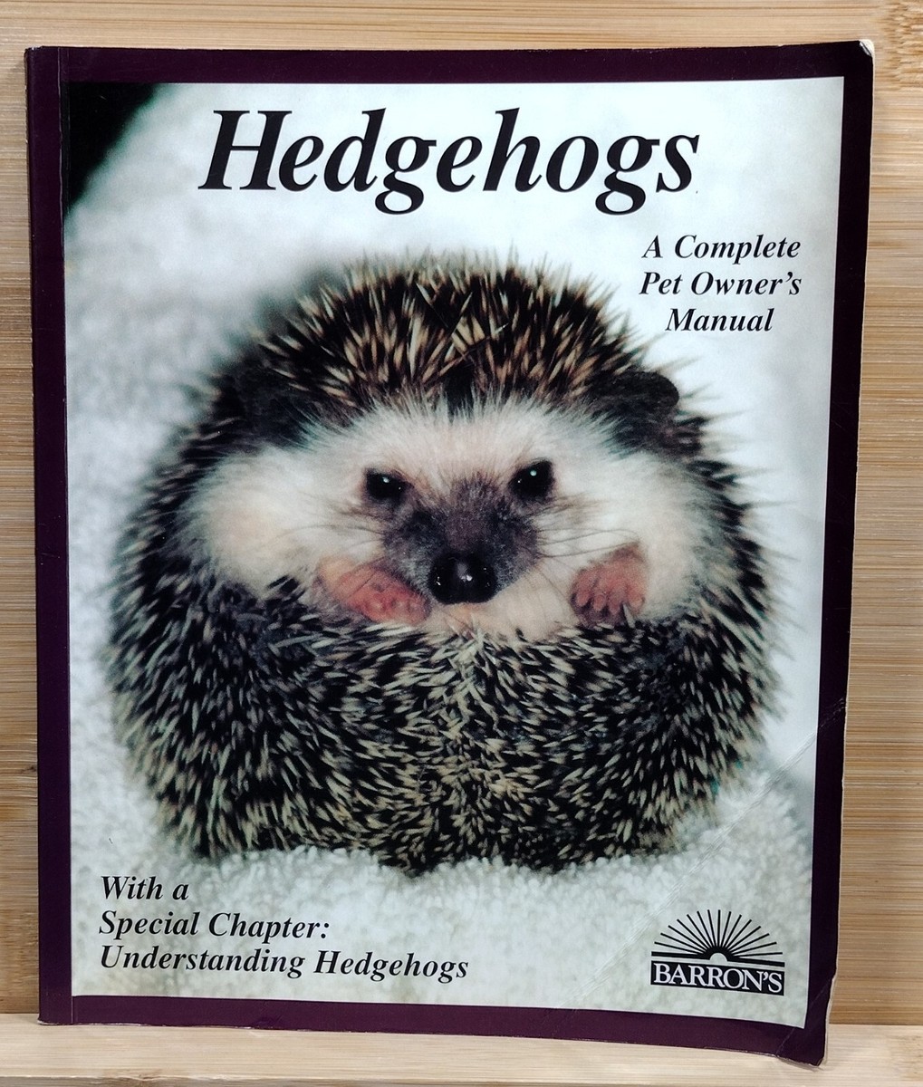 Take Care Hedgehog A Good Pet Hedgehogs: How To Take Care Of Them - Main Image