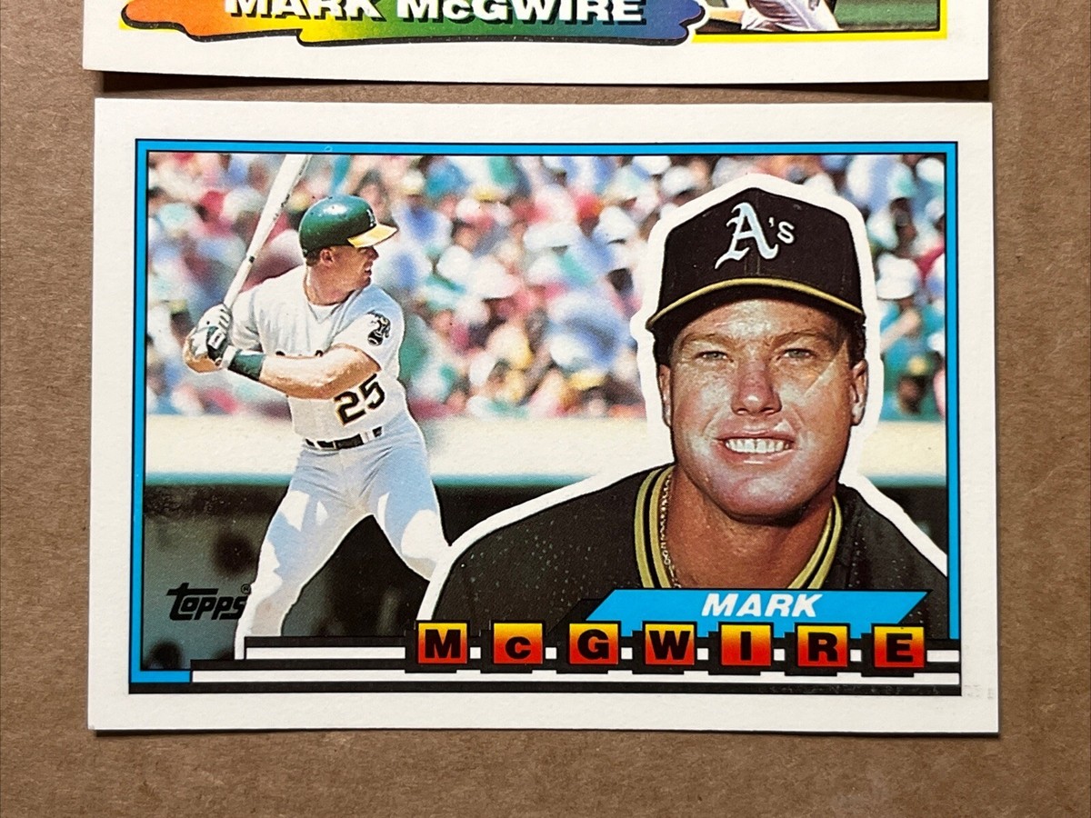 スポーツ選手 1988 BASEBALL CARD No.300 スポーツ選手 1988