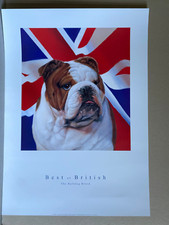 dog art print poster Best of Brittish the bull dog breed print