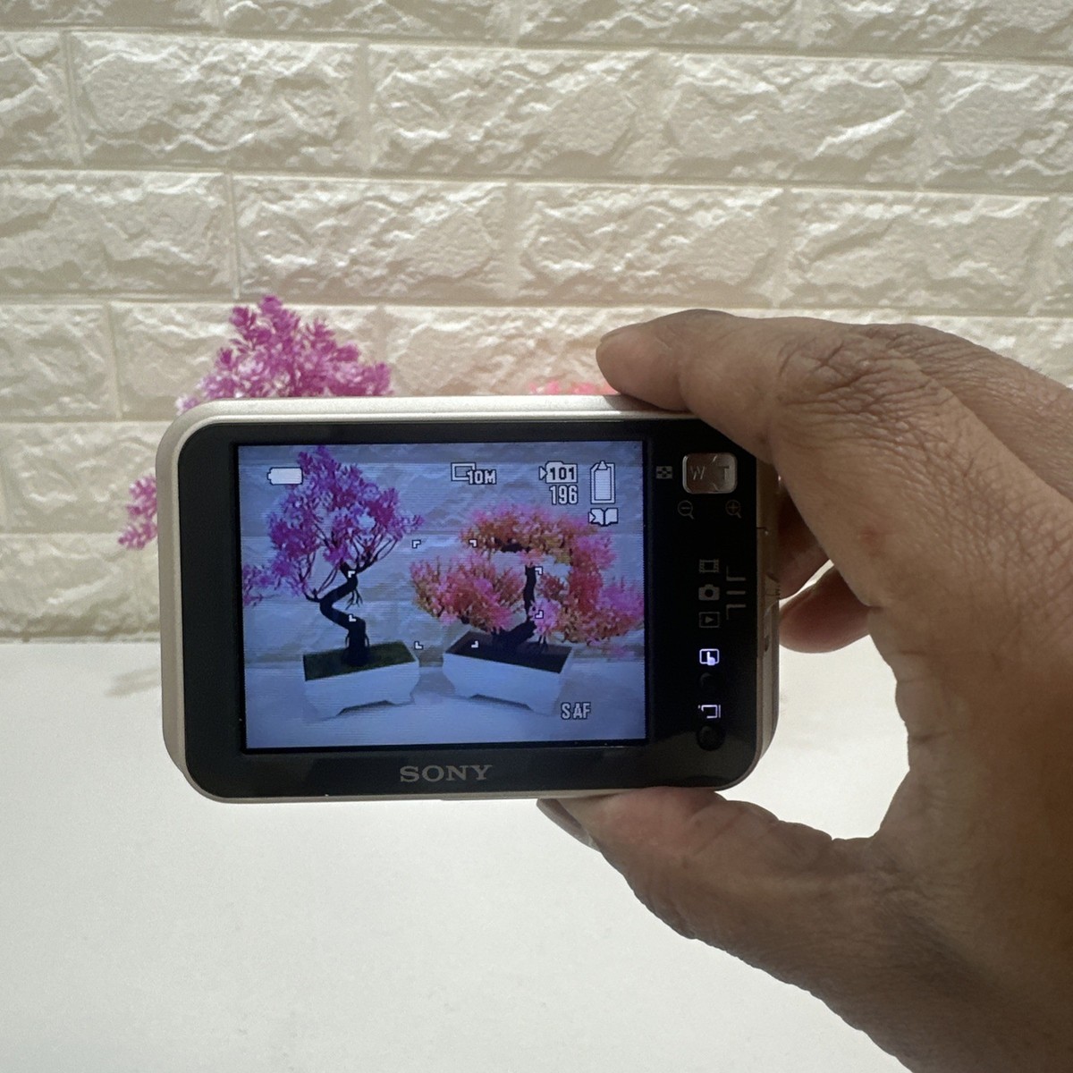 Sony Cyber-shot DSC-N2 10.1MP Digital Camera - Champagne gold for