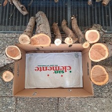 Eibe Drechselholz Schnitzholz Holz Rohling drechseln schnitzen