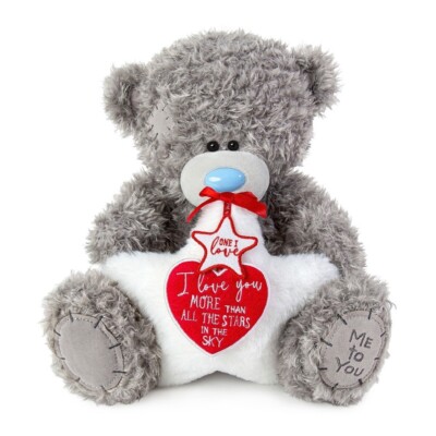 Me To You Tatty Teddy 12 Zoll romantischer Bär - Ich liebe dich mehr als alle Sterne