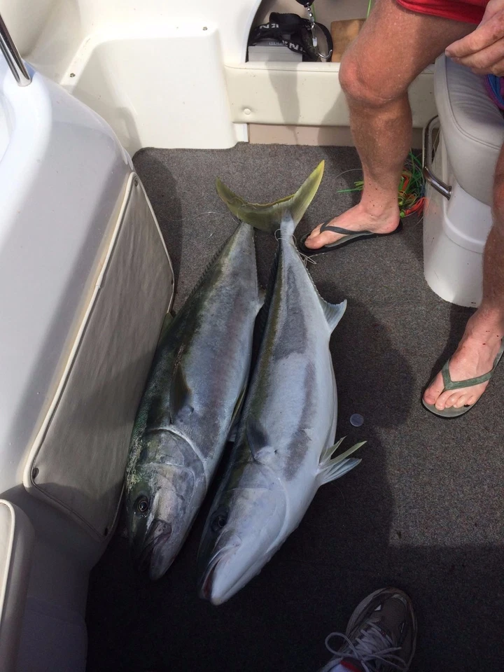 4 Wind-on leaders Dyneema Multi 16-Strand & 100lb Berkley Mono 6m, 1 Free (6m) - Image 3 of 3