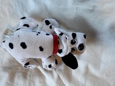Dalmatian Pound Puppy Size Small 2019