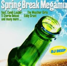 Spring Break Megamix von Various | CD | Zustand sehr gut