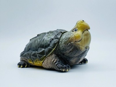 Animal Heavenly Body Alligator Snapping Turtle Statue Macrochelys