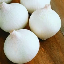 White Sweet Spanish Onion Seeds | Heirloom / Non-GMO | Free Shipping | 1068