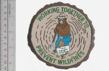 Smokey Bear Forestr Service Smokey Says 'Prevent Forest Fires' lg NO TARIFF