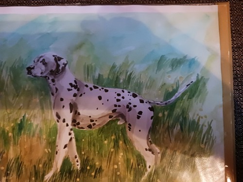 Dalmatian Dalmation Painting by Campean 2002 Romania Kennel AKC Dog Puppy Brasov - Picture 6 of 8