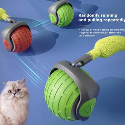 Electric Self-moving Automatic Rolling Ball Smart Cat Game Kitten Toy Dog  