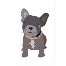 'French Bulldog Puppy' Wall Posters / Prints (PP026952)