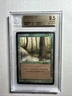 MTG Arabian Nights Singing Tree BGS 9.5 Gem Mint (w/ x3 9.5 subs) 1993