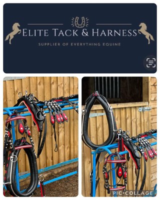 Neu Leder Pferd Fahrgeschirr Set mit Halsband Mini Mini Shetland
