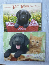 Black Lab Birthday Card Orange Kitten Get Well Labrador Retriever Puppy 2 Note