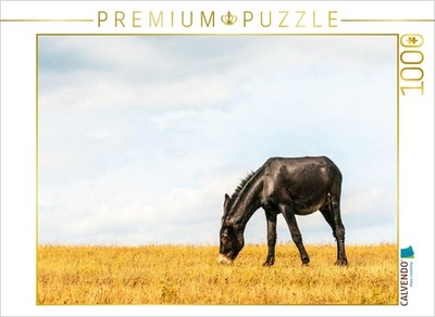 CALVENDO Puzzle Blickfang: Rappe mit bulgarisch-katalanischem Genpool | 1000 Tei