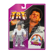 Title Run Toys TRT 'Dangerous' Danny Davis Series 1 Wrestling Action Figure