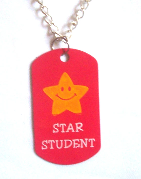12 estrellas estudiante etiqueta de perro joyería profesor premio 12 collares buen estudiante Foto 3 de 3