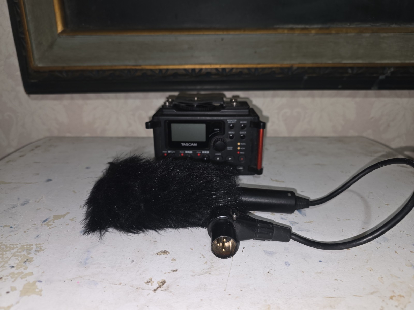 Tascam DR-60DMKII with Panasonic AG-MC200 Unidirectional Microphone and...