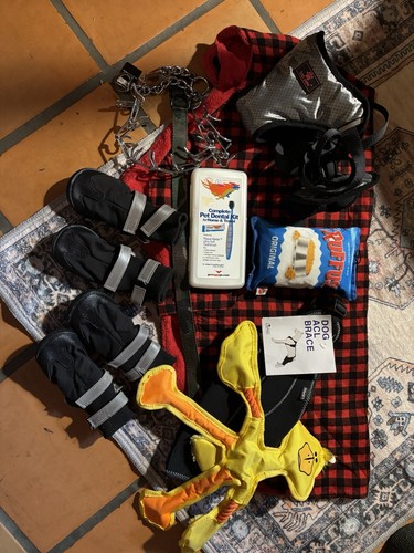 Big Dog Supply Lot~Boots~Coat~Harness~Collar~ACL Brace~Training Collar~2 Toys 