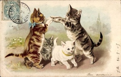 Litho Drei getigerte und eine weiße Katze - 4365620