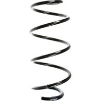 Spidan 56161 Fahrwerksfeder FüR Renault Laguna BG0 1 KG0 1