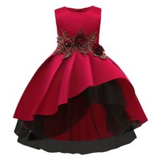 Childrens Girls Elegant Flower Embroidered Ruffled Pleated Dress Ball Gown  