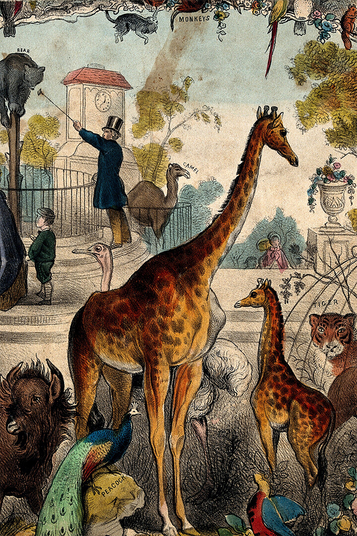 ロジァンコフスキー絵本ー「WILD ANMALS AT 」1935年 ロジァン