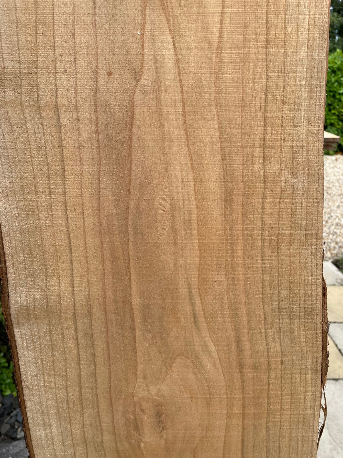 220cm AIR Dried Cherry BOARD Live WANEY Edge Hardwood PLANK / SLAB