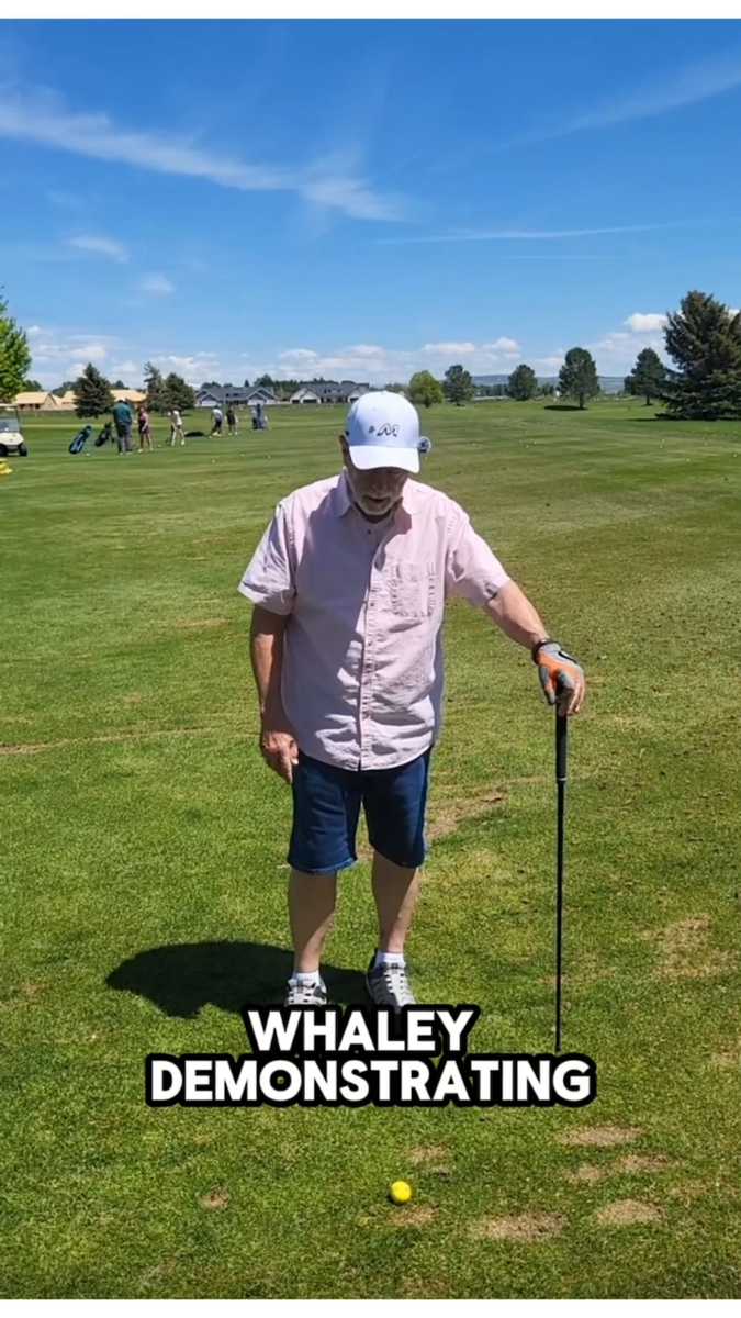 Senior Majek K5s All Hybrid Set Custom Made 4-PW Graphite Golf