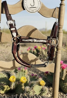 Billy Royal Sterling Silver Show Halter- Weanling, Supple, Quality  